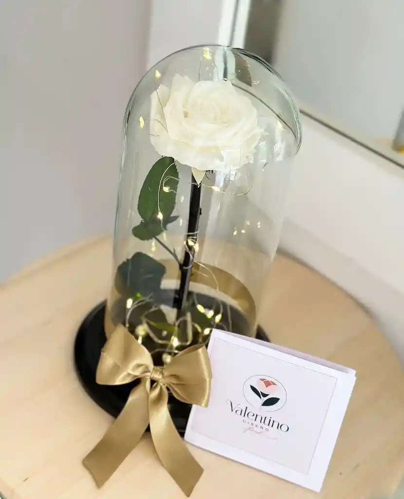 Rosa Preservada Blanca