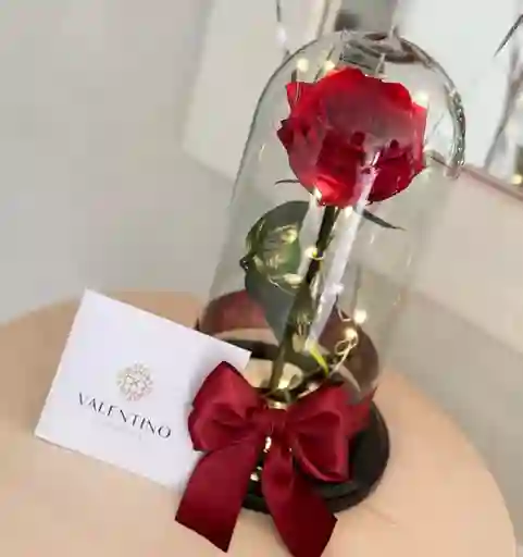 Rosa Preservada Roja
