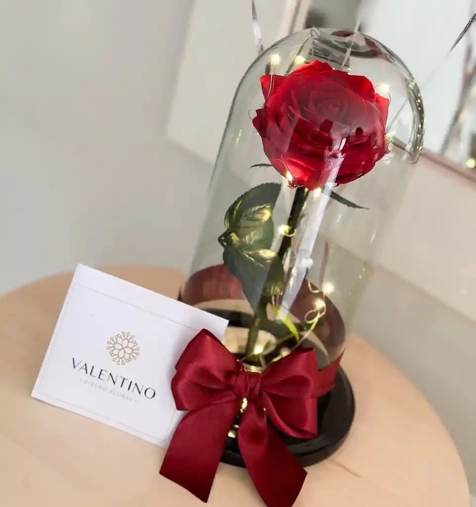 Rosa Preservada Roja
