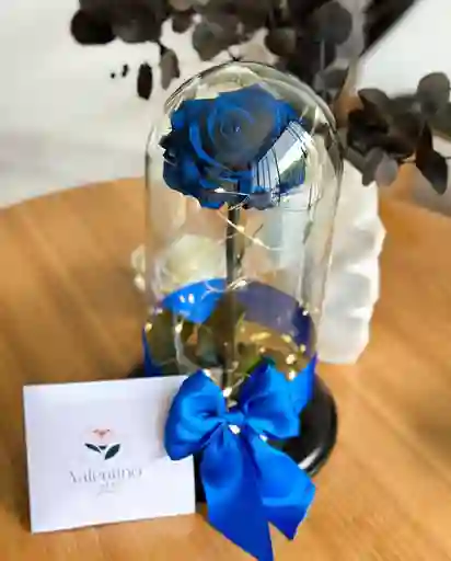 Rosa Preservada Azul Noche