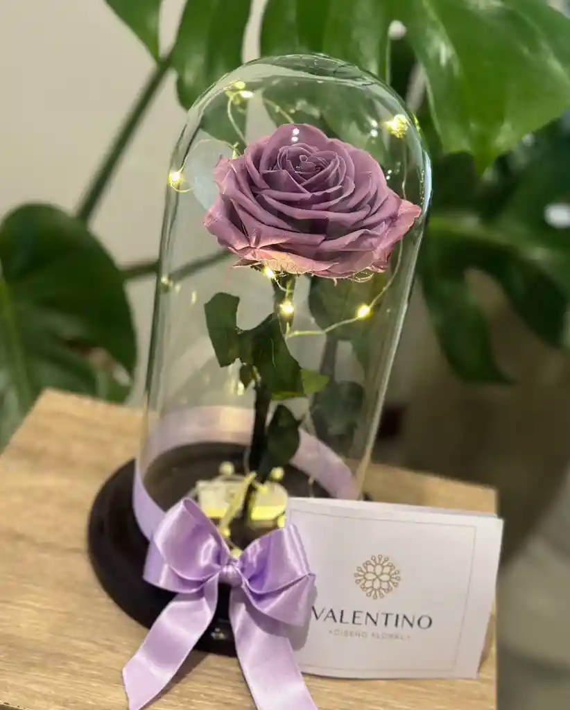 Rosa Preservada Lavanda