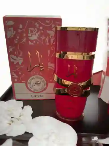 Perfume Para Mujer Fragancia Yara Canndy Latttafa