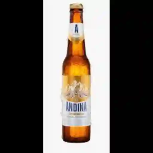 Andina Grande Botella