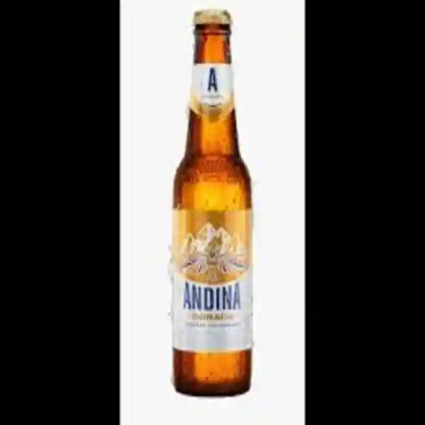 Andina Grande Botella