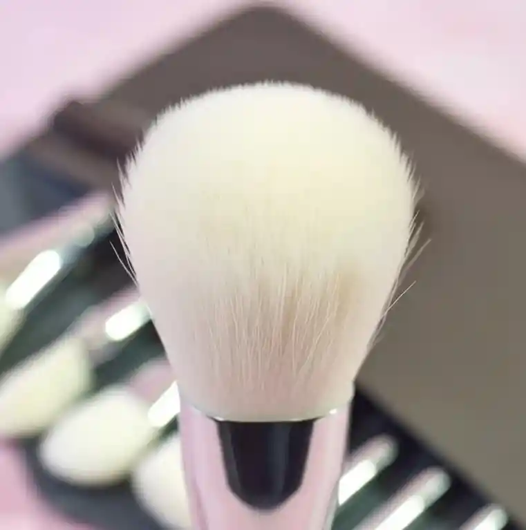 Kit Brochas Para Maquillaje Plateado X7unid