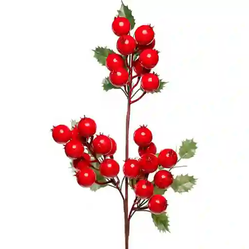 Rama Santini Rojo Plastico