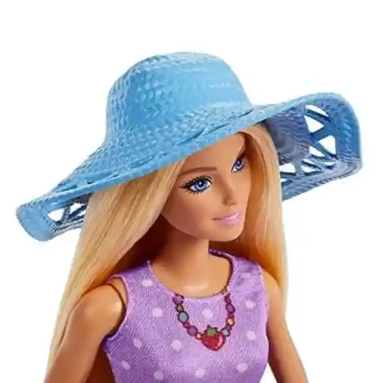 Barbie Family & Friends.