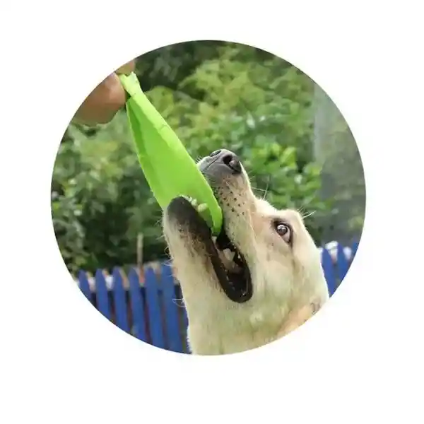 Freesbe Dog Verde
