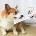 Tela Chirriante Para Cachorros