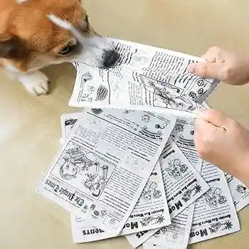 Tela Chirriante Para Cachorros