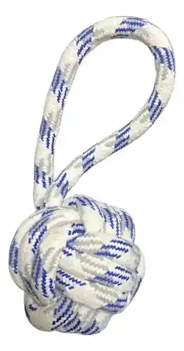 Mordedor Lazo - Pelota