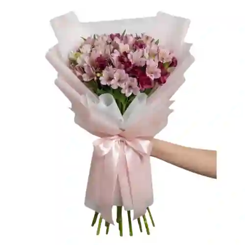 Antología De Astromelias