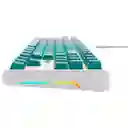 Teclado Mecanico Havit Gamenote Kb901l Verde Rgb