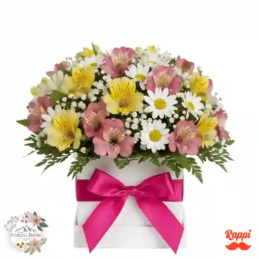 Encanto Primaveral