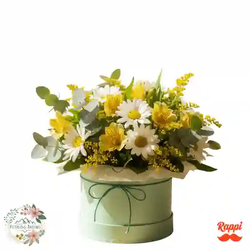 Frescor Natural