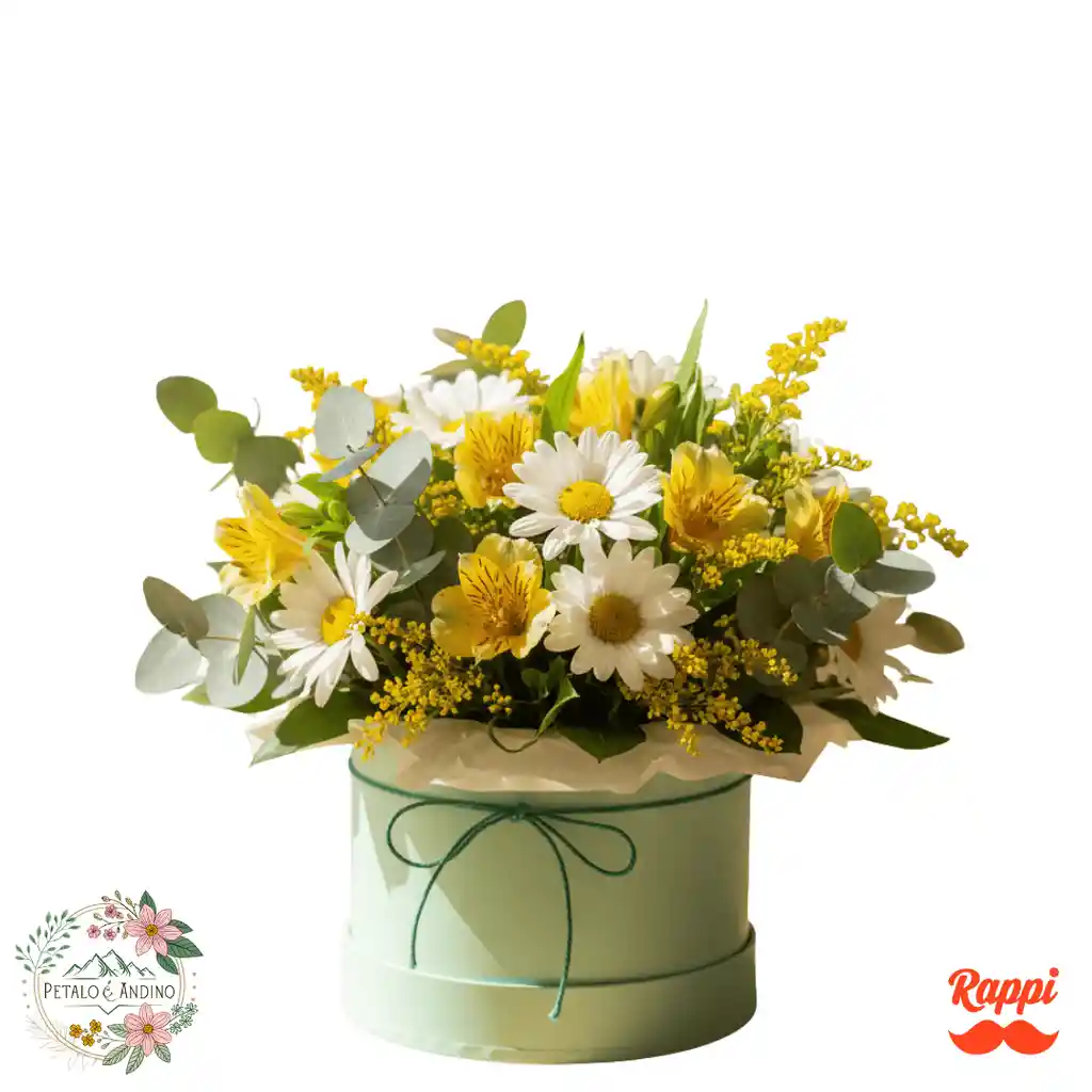 Frescor Natural
