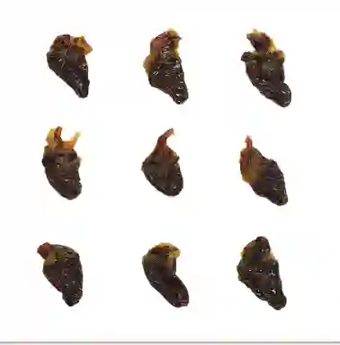 Thrills And Chills Chicken Hearts Dog Treats 4 Oz