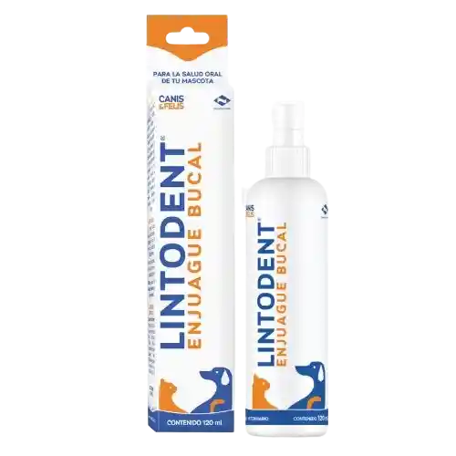 Lintodent Enjuague Bucal 60ml