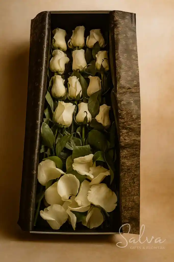 Rosas En Caja De Lujo, 12 Rosas Blancas – Homenaje De Paz Y Respeto
