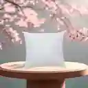 Dos Cojines 40 Cm X 40 Cm