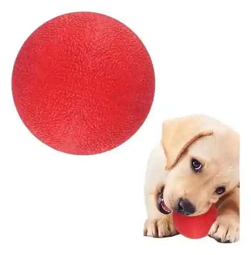 Pelota Maciza Xl