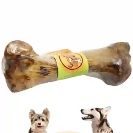 Hueso De Fémur De Res Deshidratado – Tamaño Grande