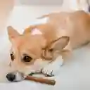 Palito De Café Pequeño