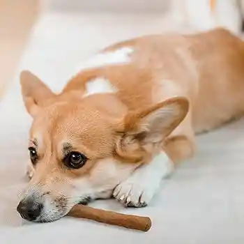 Palito De Café Pequeño