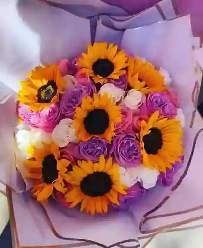 Sol De Lavanda