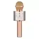 Micrófono Inalámbrico Karaoke Ws-858 Bluetooth