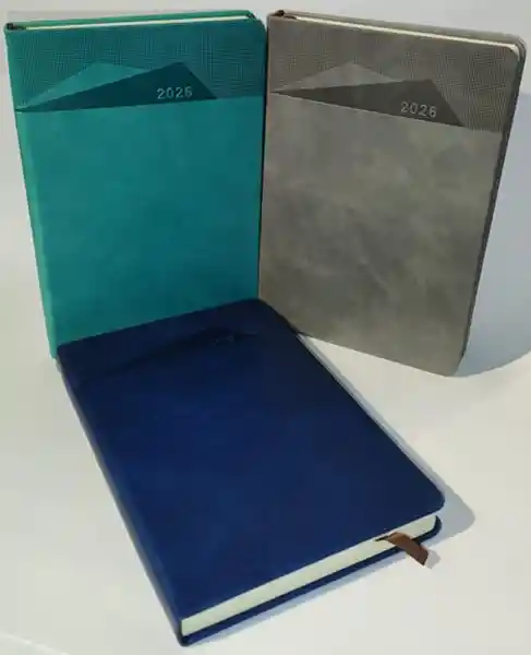 Agenda Diaria 2026 Ref - 22309-9