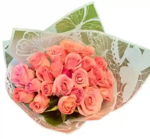 Ramo De Rosas Coral 24 Tallos