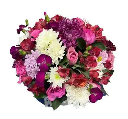 Caja Blanca – Mix Fucsia Con Alstroemerias Y Crisantemos