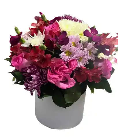 Caja Blanca – Mix Fucsia Con Alstroemerias Y Crisantemos