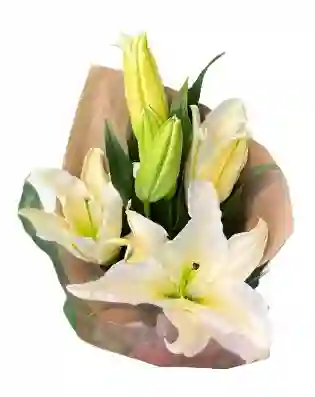 Ramo De Lirios Blancos – Aromático