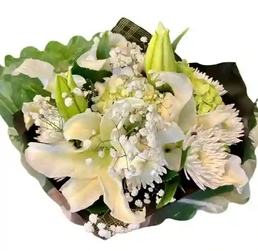 Ramo Blanco Elegante – Lirios, Hortensia Y Gypsophila