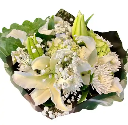 Ramo Blanco Elegante – Lirios, Hortensia Y Gypsophila