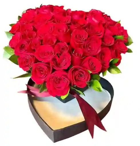 Caja Corazón Premium – Rosas Rojas