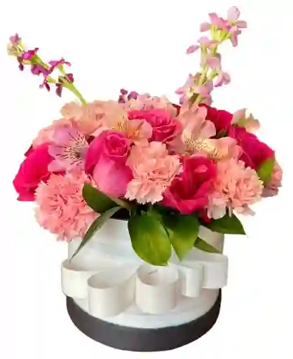 Caja Blanca – Rosas Fucsia, Claveles Y Alstroemerias