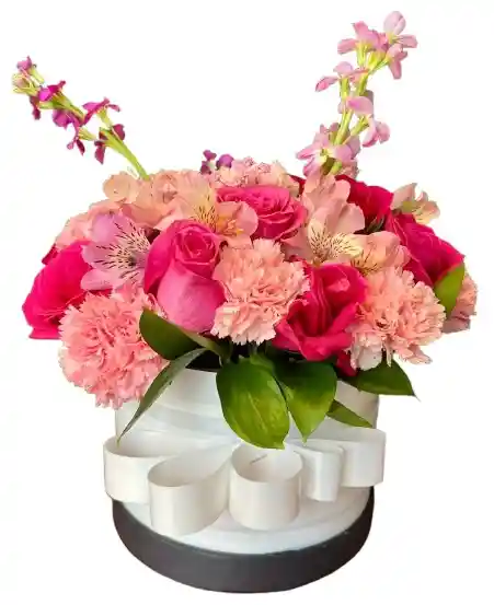 Caja Blanca – Rosas Fucsia, Claveles Y Alstroemerias