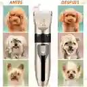 Máquina Peluquera De Aseo Para Perros Y Gatos 6 Piezas