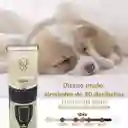 Maquina Afeitadora Mascota Aseo Gatos Peluquería Kit Completo