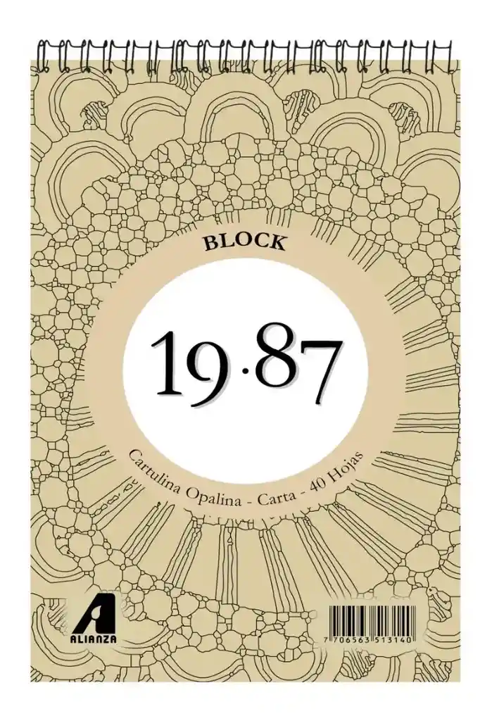 Block 19.87 Cartulina Opalina Carta - 40 Hojas