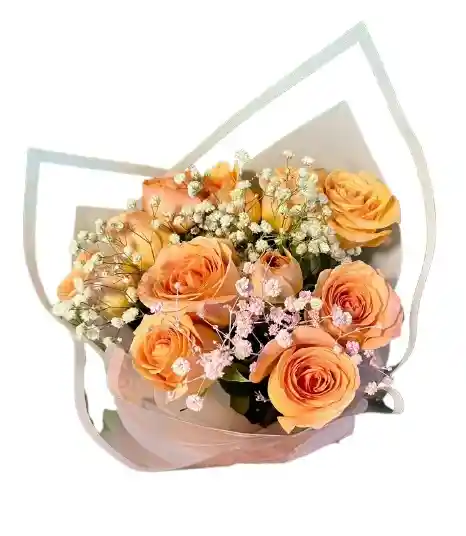 Ramo De Rosas Durazno Con Gypsophila