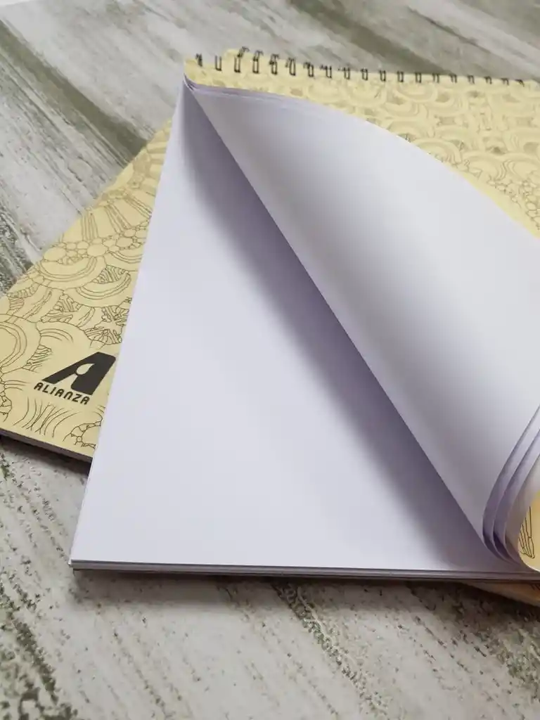 Block 19.87 Cartulina Opalina Carta - 40 Hojas