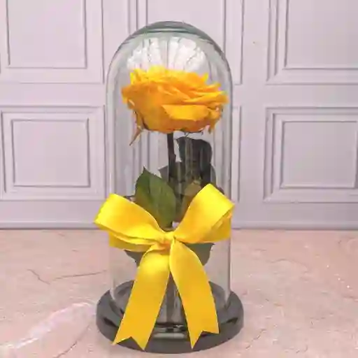 Rosa Preservada