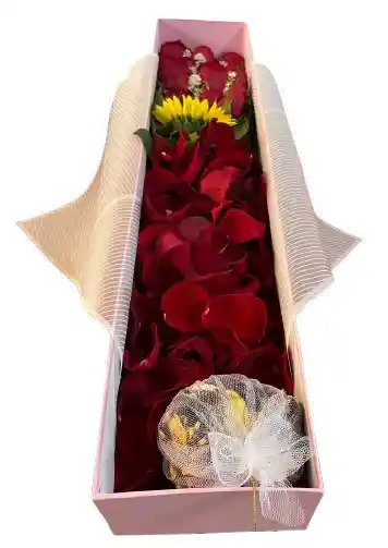 Caja Rectangular Rosa – Rosas Rojas Con Girasol