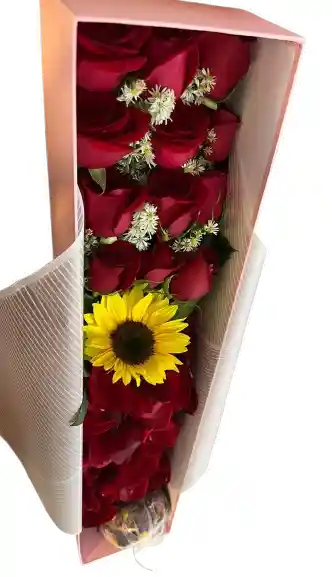 Caja Rectangular Rosa – Rosas Rojas Con Girasol