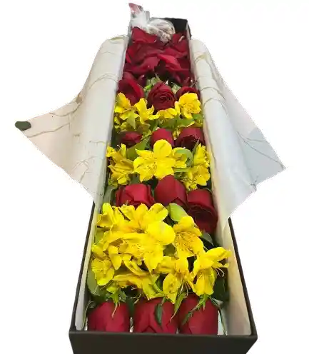 Caja Rectangular – Rosas Rojas Y Alstroemerias Amarillas