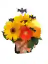 Flores Caja De Halloween
